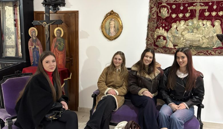 Историјски час у Сарајеву са професорицом Марином Благојевић